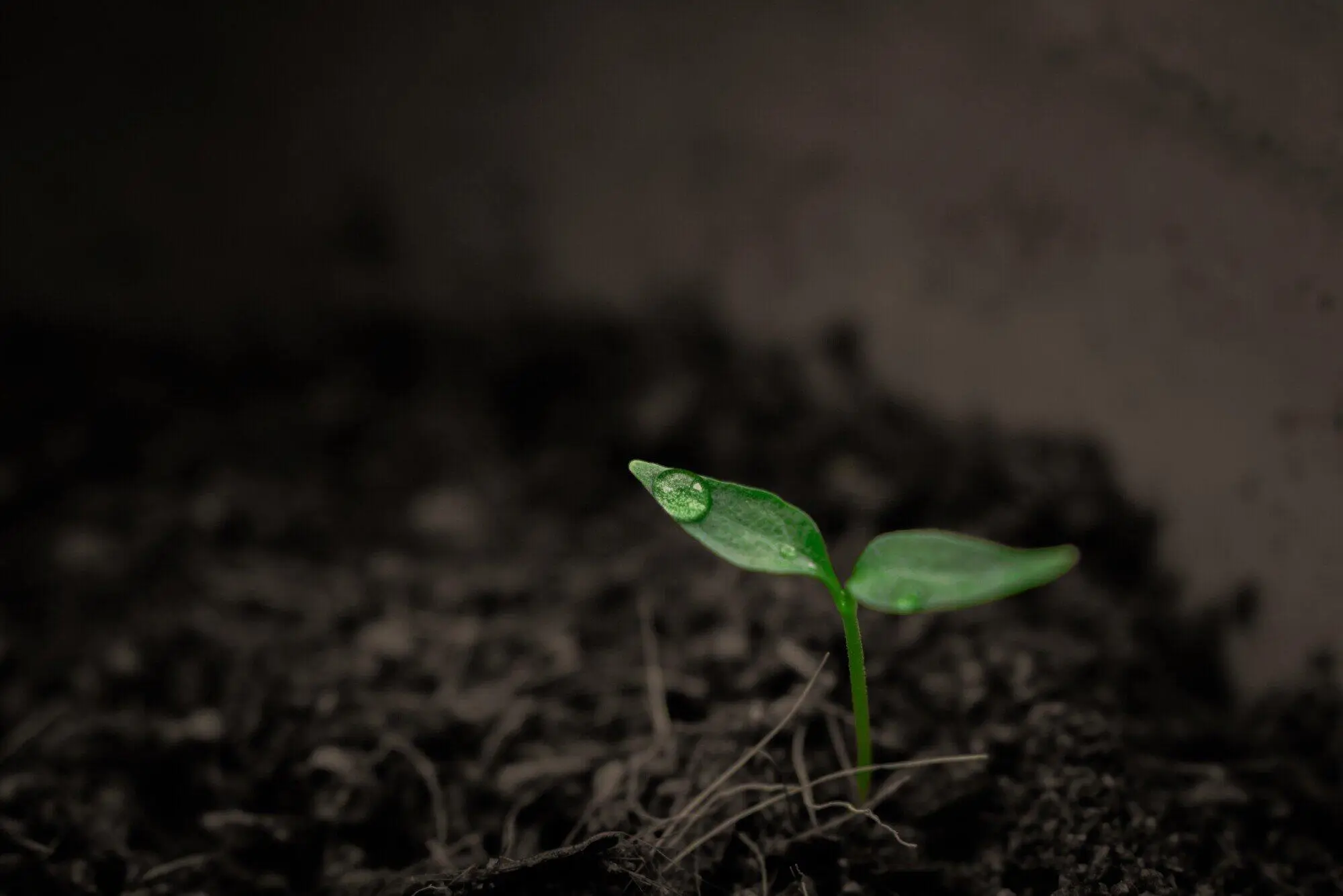 3 Smart Sustainable Property Management Tips in Noblesville, IN