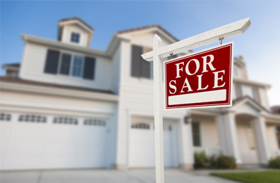 Services for Real Estate